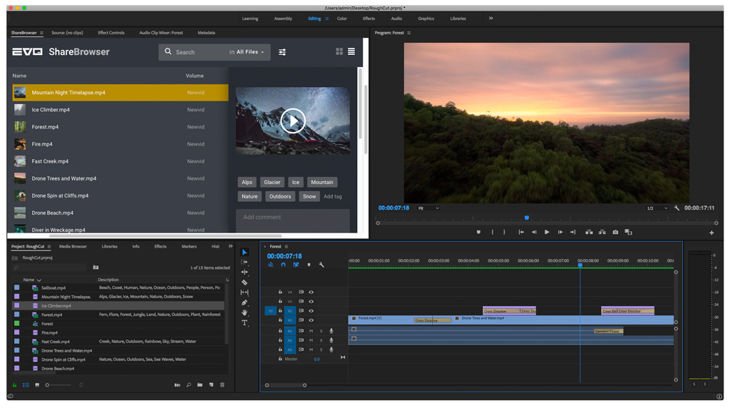 Screenshot of the ShareBrowser media asset management panel for Premiere Pro