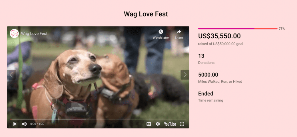 Wag-Love-Fest-storytelling